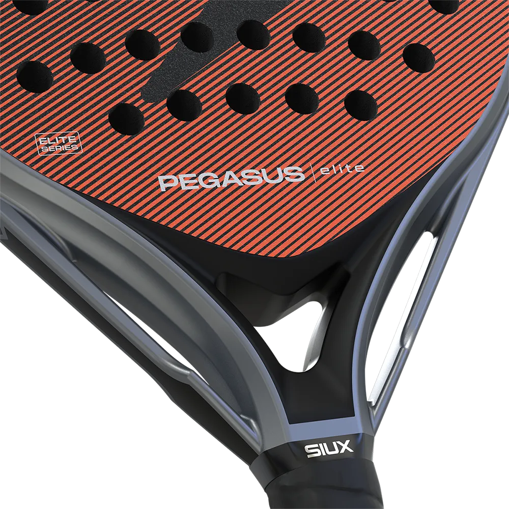 SIUX RACKET PEGASUS ELITE 4 2026