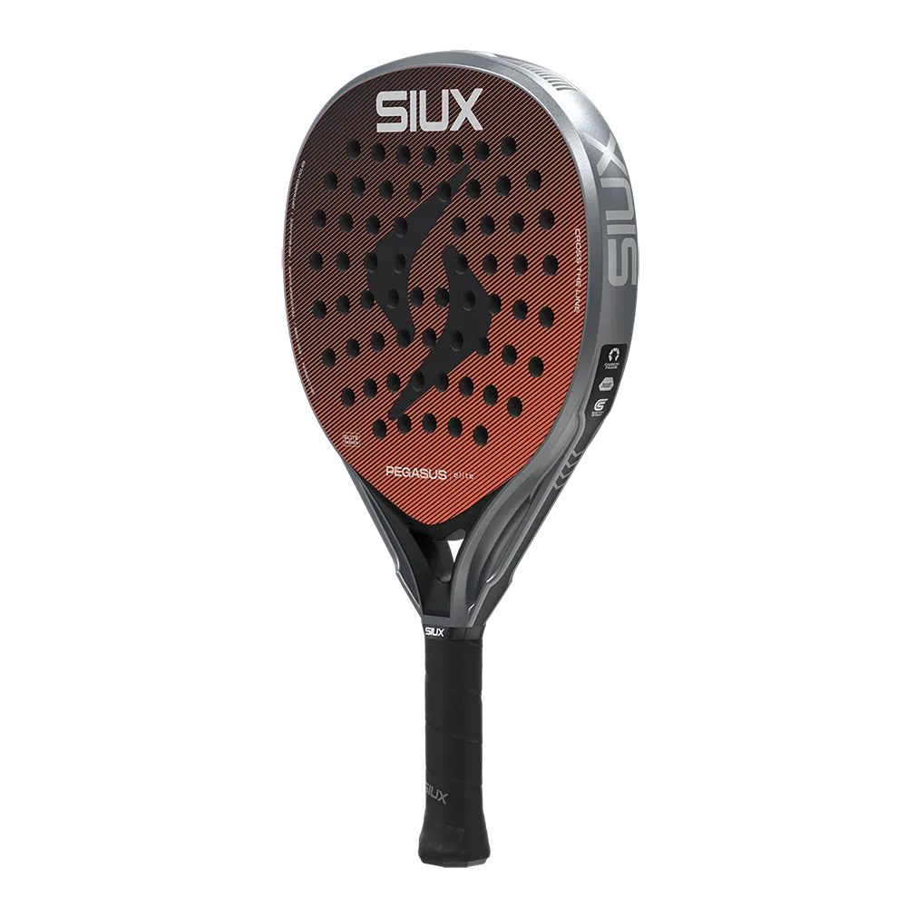 SIUX RACKET PEGASUS ELITE 4 2026