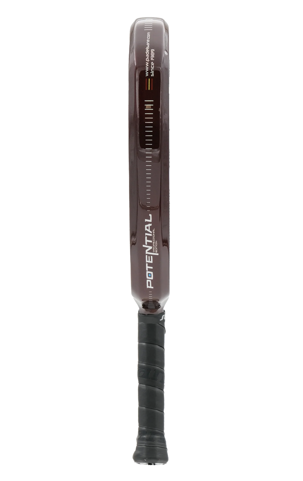 SANE RACKET POTENTIAL PROFESSIONAL
